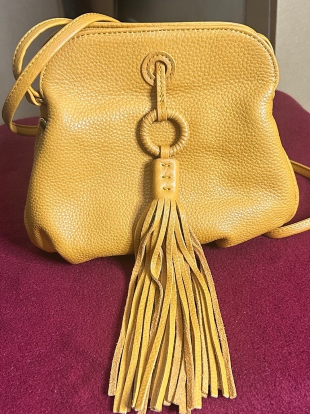 HOBO Birdy Crossbody 💖